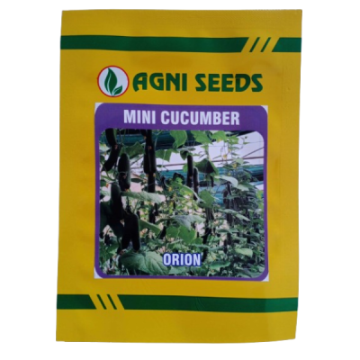 Orion - Mini Cucumber